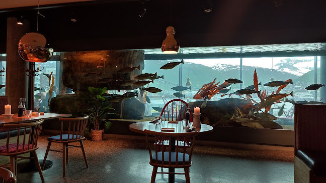 Opinii despre Rå Sushi & Bar în Tromsø - Gastronomi og hotellvirksomhet