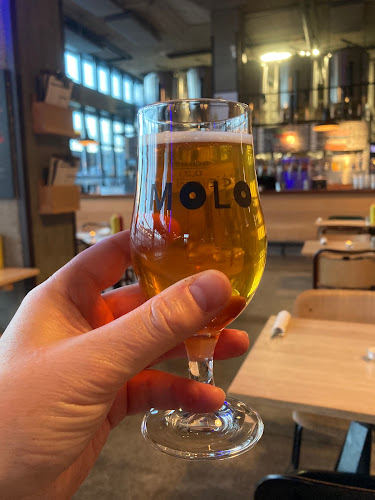 Comentarii opinii despre Molo Brew