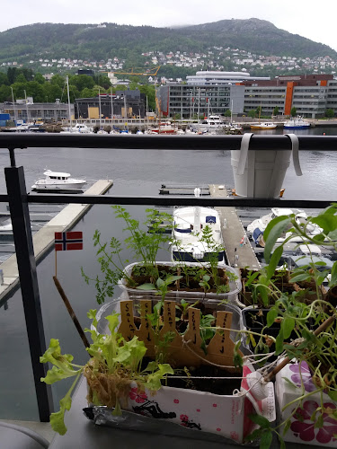 Pizzabakeren Solheimsviken - Gastronomi og hotellvirksomhet