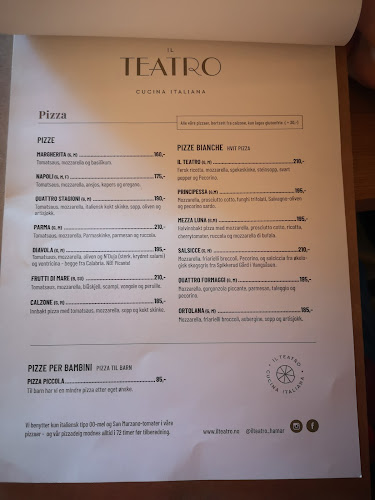 Comentarii opinii despre Il Teatro