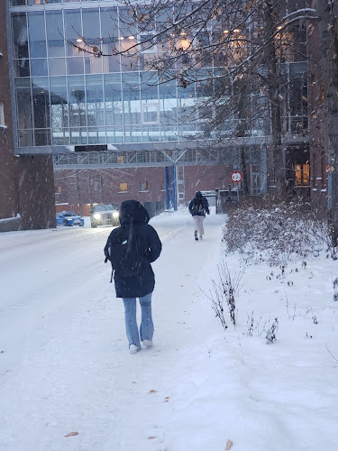 Opinii despre MH-kafeen în Tromsø - Gastronomi og hotellvirksomhet