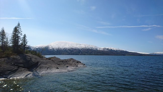 Nils Andre Gruben - Gastronomi og hotellvirksomhet