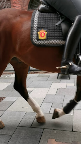 Comentarii opinii despre Beer Palace