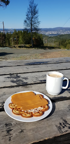 Grønlia - Gastronomi og hotellvirksomhet