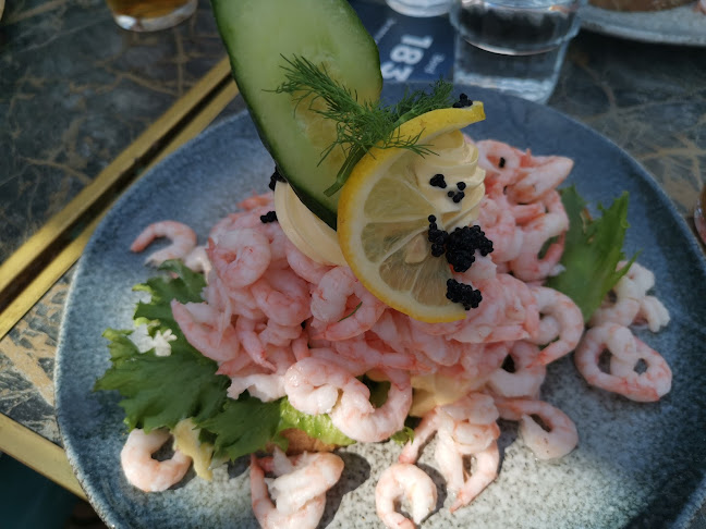 W / Lounge - Gastronomi og hotellvirksomhet