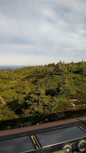 Brannhytta på Natrudstilen - Gastronomi og hotellvirksomhet
