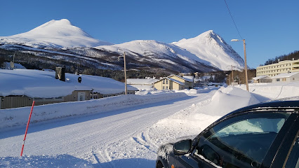 Brannkassa, Diskotek & Bar