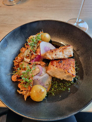 Comentarii opinii despre SVANG.