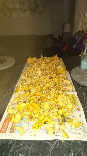 Nils Andre Gruben - Mo i Rana