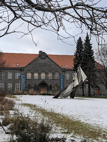 Comentarii opinii despre Amalies Hage