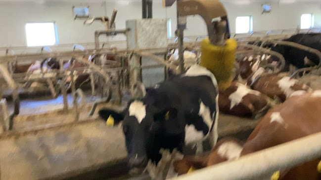 Kristian Reinfjord - Gastronomi og hotellvirksomhet