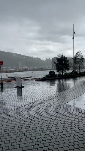 Pink Fish - Munch Brygge - Oslo