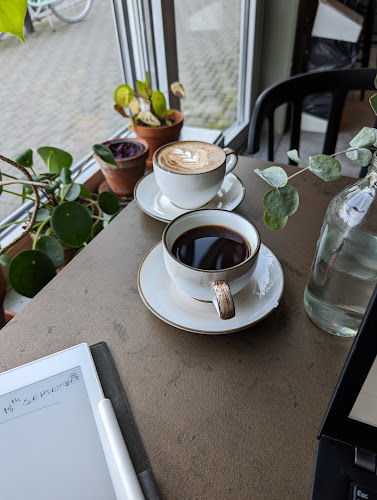 Comentarii opinii despre Melkebaren