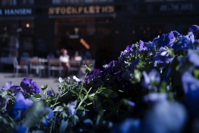 Stockfleths Lille Grensen - Gastronomi og hotellvirksomhet