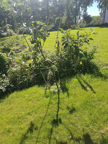Rødtvet Senior- og aktivitetssenter - Oslo