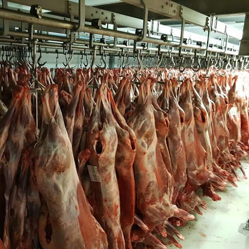 Trondheim Slaktehus AS - Trondheim