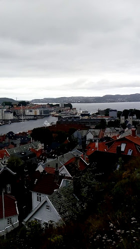Godt Brød Fløyen - Bergen