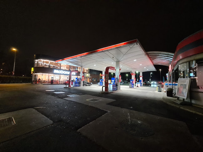 Torgny Segerstedts Vei 11, 0372 Oslo