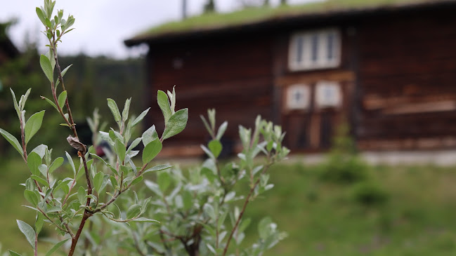 Tyrihanstunet - Fåvang