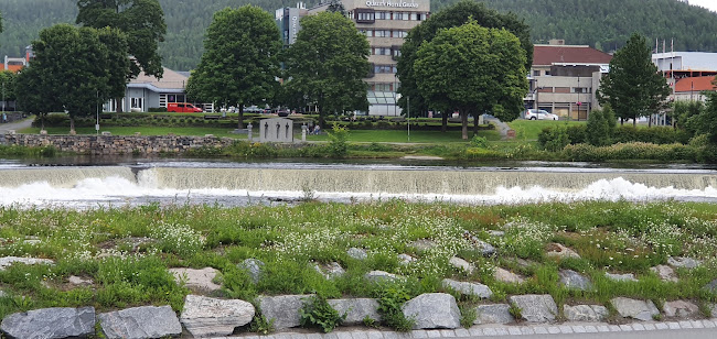 Comentarii opinii despre Glade Kongsberg AS