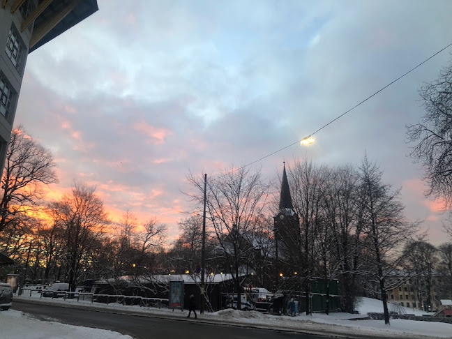 Comentarii opinii despre Petrus Restaurant