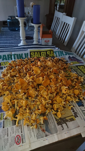 Holmenveien 21, 8614 Mo i Rana