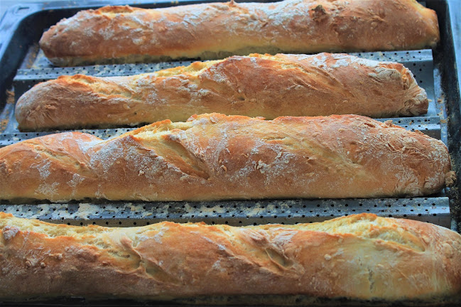 Skognesveien 22, 9372 Gibostad