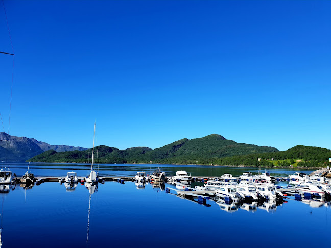 Comentarii opinii despre Vikingen Pub & Spiseri