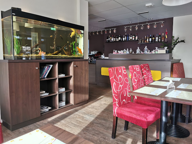 AS Randevu - Kongsvinger