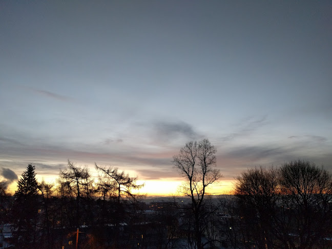 Stensparken Cafe - Gastronomi og hotellvirksomhet