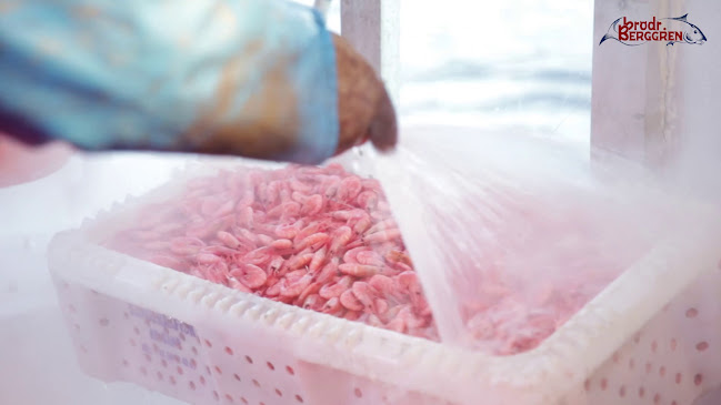 Brødrene Berggren AS