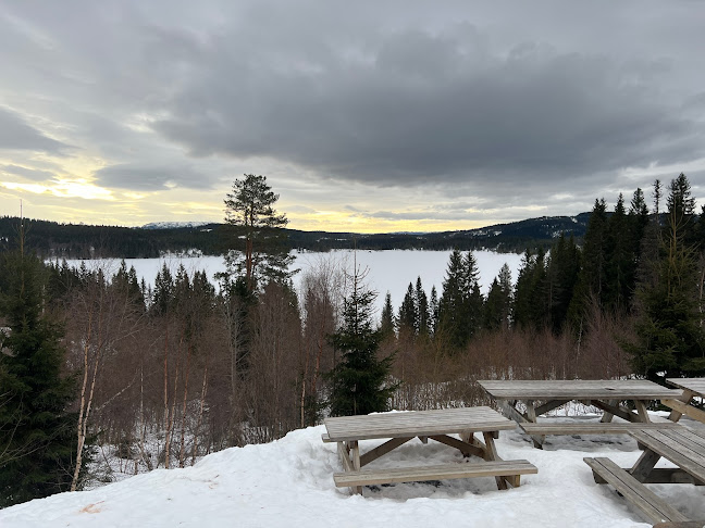 Trondheim, 7024 Trondheim