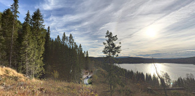 Opinii despre Grønlia în Trondheim - Gastronomi og hotellvirksomhet