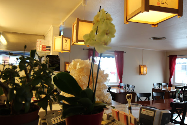 Opinii despre Japan Sushi AS | avd Hamar în Hamar - Gastronomi og hotellvirksomhet