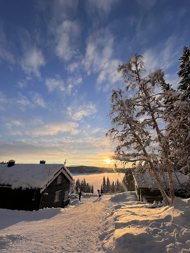 Grønlia - Gastronomi og hotellvirksomhet