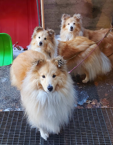 Frivilligsentralen Grefsen Kjelsås - Oslo