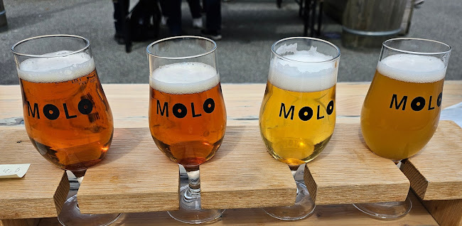 Molo Brew - Gastronomi og hotellvirksomhet