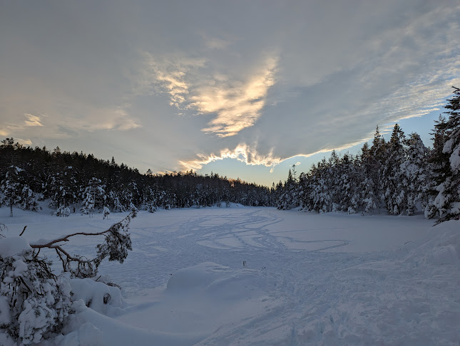 Granestua - Gastronomi og hotellvirksomhet