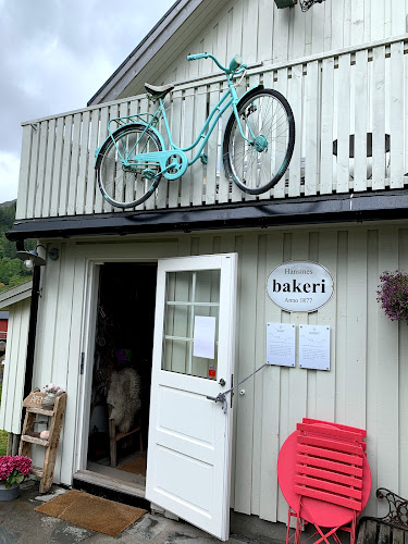 Hansines bakeri