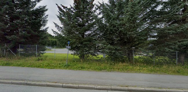 Trondheim Slaktehus AS