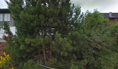 Vinkurs & Vinsmaking Trøndelag Fritz-Gerhard Samuelsen