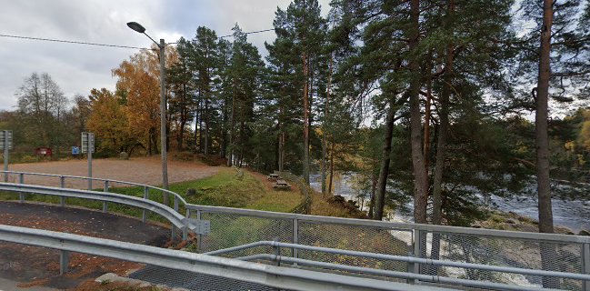 Holmfoss isbar - Holmfoss