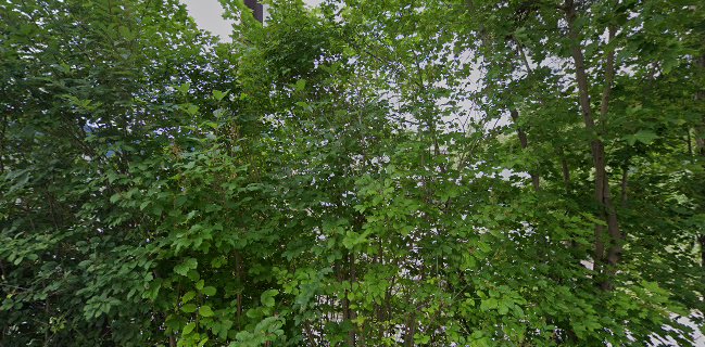 Gulating Ølutsalg - Gastronomi og hotellvirksomhet