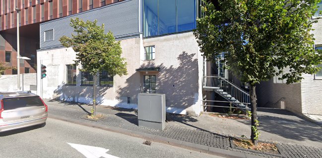 In Vino Veritas - Vinbar og Restaurant