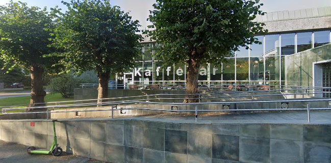 Spise Sammen Kaffebar Bibloteket