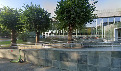 Spise Sammen Kaffebar Bibloteket