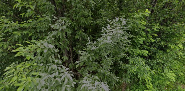 Lodve Langesgate 2, 8514 Narvik