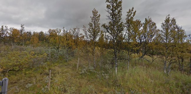 Skihytta, Vingelen - Tolga