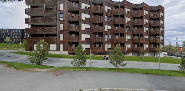 Opinii despre Sansen For Smak în Trondheim - Gastronomi og hotellvirksomhet