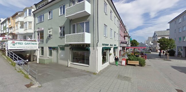 Opinii despre Hong Kong Garden în Kristiansund N - Gastronomi og hotellvirksomhet